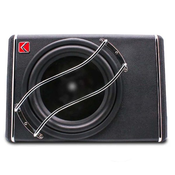 Speaker 10 Inch
